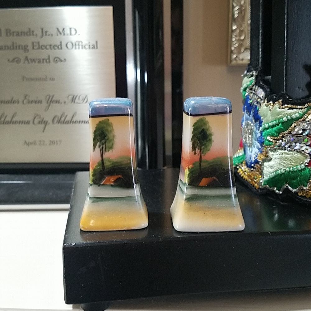 LOVELY PAINTED SALT/PEPPER SHAKERS.  15